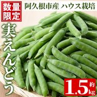 ＜先行予約受付中！2027年1月上旬以降順次発送予定＞期間限定！実えんどう (約1.5kg) 国産 鹿児島県産 ハウス栽培 野菜 旬 豆 マメ まめ エンドウ 豆ごはん ポタージュ 期間限定 数量限定 季節限定 【東新グリーンファーム合同会社】akn062-13