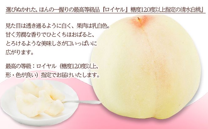 桃 2026年 先行予約 清水 白桃 6玉（1玉300g以上） 等級： ロイヤル 化粧箱入り もも モモ 岡山県産 国産 フルーツ 果物 ギフト 糖度12.0度以上 スイーツ 