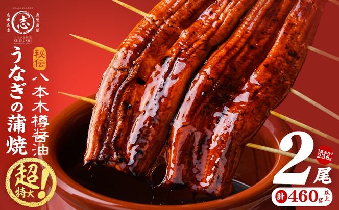 【数量限定】超特大！ 国産 八本木樽 鰻 蒲焼(計460g以上・236g以上×2尾) a5-390