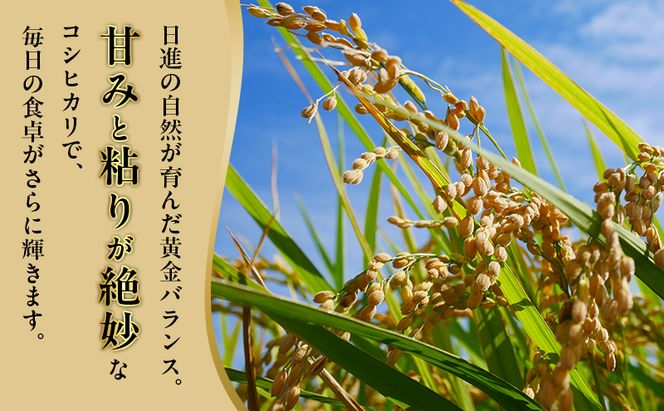 先行予約 令和8年度産 コシヒカリ さかたのお米 日進市産 1kg お米 白米 ライス 精米 ご飯 おにぎり お弁当 和食 もっちり 粘り 強い 甘み 旨み
