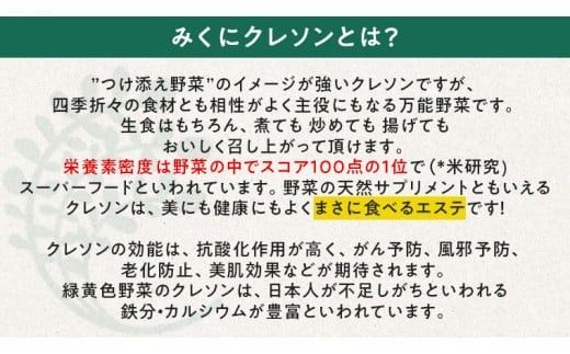 みくにクレソン100g×20袋 美容 健康 野菜 スーパーフード クレソン [CY005ci]