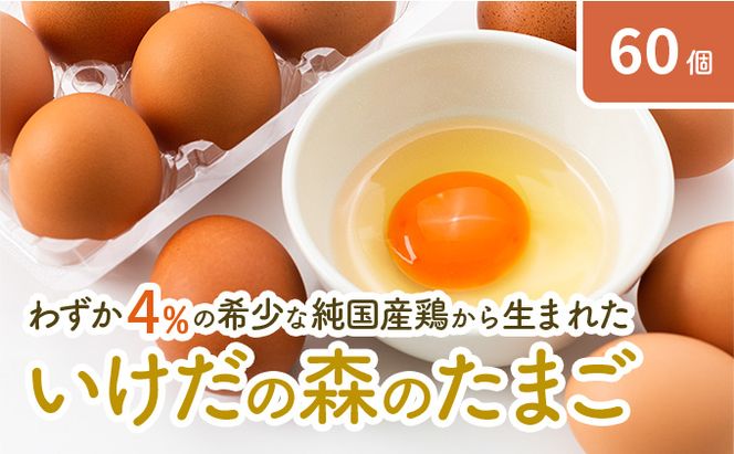卵 わずか4%の希少な純国産鶏 いけだの森たまご 60個 こだわり おこめのたまご 玉子 鶏卵 生卵 産地直送 冷蔵配送 TKG 卵かけご飯 岐阜県産 