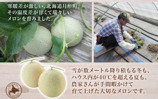 【2026年夏発送】北海道 赤肉メロン 北の女王 秀品 約1.6kg×1玉 令和8年 メロン 果物 フルーツ 旬 季節 希少 貴重 甘い 豊潤 国産 デザート ご褒美 産地直送 ギフト お祝い 贈答品 贈り物 お中元 常温 お取り寄せ 送料無料 