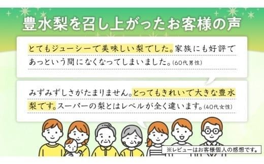 【 JA 北つくば 】 筑西ブランド 認証品 豊水 10kg 2026年産 先行予約 梨 果物 フルーツ なし ナシ 豊水梨 くだもの デザート 茨城 [AE011ci]