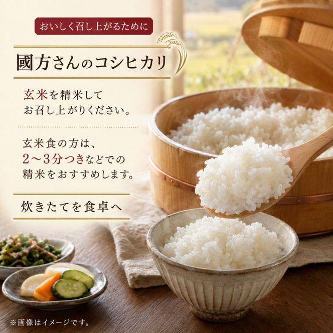 令和8年新米　 國方さんの「コシヒカリ」10kg（玄米）米 玄米 コシヒカリ