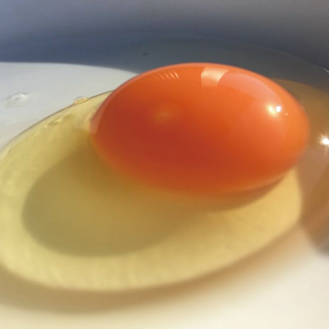 ＼2026年2月より順次配送／【定期便】黒麹育ちの赤たまご30個（年3回） 益子町 ふるさと納税 たまご 卵 タマゴ 赤たまご 人気 濃厚 食べチョク 定期便 (BC005)