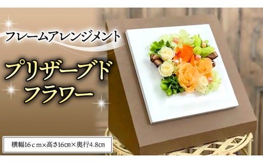 フレームアレンジメント＊プリザーブドフラワー [CT034ci]