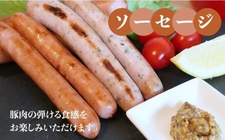 糸島の陽光 ハム セット 6種 セット 2 糸島市 / 志摩スモークハウス ハム ソーセージ 食べ比べ [AOA002]