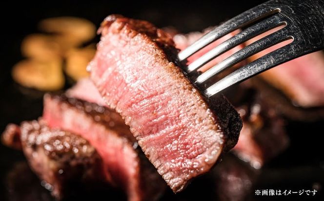 【全6回定期便】国産 博多和牛 A5ランク 赤身 希少部位 ステーキ 200g × 4枚 部位おまかせ 雌 ≪築上町≫【KRAZY MEAT】 赤身 ステーキ 和牛 肉 BBQ[ABEN031]