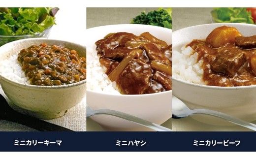 【 定期便 全3回 隔月 お届け 】 新宿 中村屋 レトルト 食べ比べ セット ( Aセット 12種 ) 人気 詰合せ 洋食 時短 カレー インドカレー ビーフカレー 欧風カレー 数量限定 贈答品 保存用 ストック用 非常用 老舗 電子レンジ 調理可 [DM004us] レンチン レンジ 