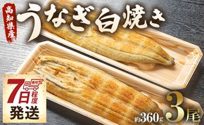 うなぎ屋きた本 うなぎ白焼き 3尾(合計約360g)(無頭) 【7日程度で発送】 - 送料無料 鰻 ウナギ おかず 山椒塩 のし ギフト 贈答 贈り物 プレゼント 丑の日 うなぎ屋きた本 高知県 香南市 un-0088