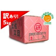 三宮果樹園の土佐文旦 訳あり 5kg ぶんたん ブンタン 5キロ 10玉前後