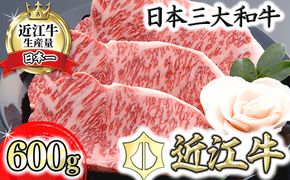 【４等級以上の未経産牝牛限定】近江牛サーロインステーキ【600ｇ（200ｇ×3枚）】【AF04W】