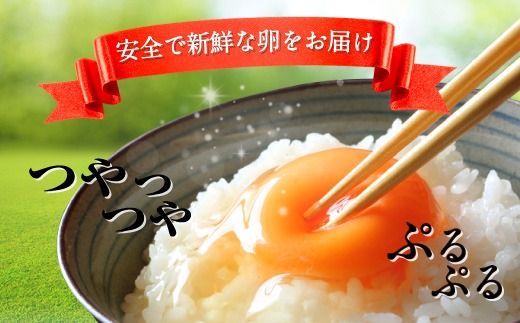 【定期便3ヶ月】匠の卵 20個(割れ玉補償２個）7％の卵　たまご　卵　玉子　鶏卵　生卵　プレミアム　優秀賞　愛知県　美浜町　国産　産直　卵黄　卵かけご飯