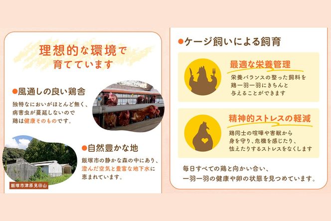 【J3-015】テトラエッグ(40個/月)【12ヵ月定期便】