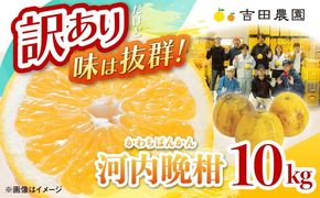 訳あり 河内晩柑10kg（家庭用） ＜ 柑橘 希少 果物 国産 フルーツ みかん 蜜柑 訳あり 家庭用 和製 グレープフルーツ ブランド 愛媛 果実 ビタミン ＞ ※2027年4月～発送