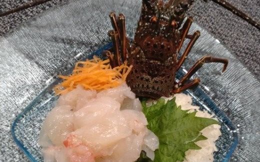 【捌き方レシピ・軍手付き】活きイセエビ漁師直送！！600g以上（1～2尾、1~2人前）伊勢エビ 伊勢海老 えび 産地直送 送料無料 エビフライ 刺身 高知県 室戸市