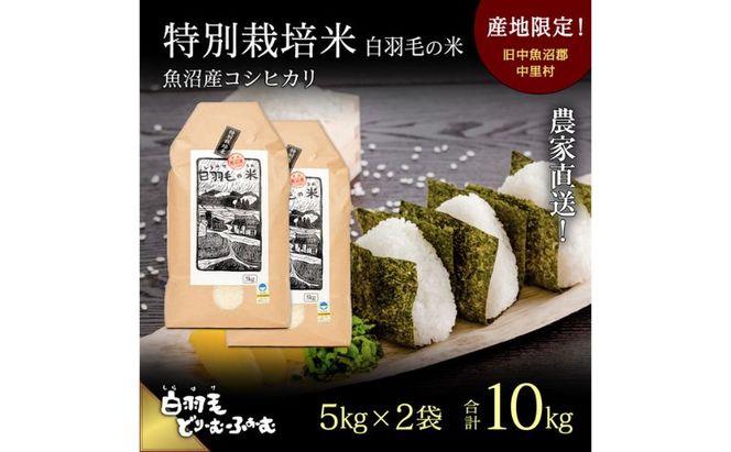 【通年受付】≪令和8年産≫ 農家直送！魚沼産コシヒカリ特別栽培「白羽毛の米」精米 (5kg×2袋) 10kg お米 白米