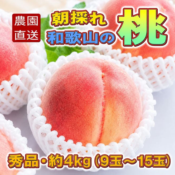 【農園直送】朝採れ和歌山の桃　約4kg・秀品【2027年度発送分】※2027年6月下旬～2027年8月上旬頃順次発送【tec911B】