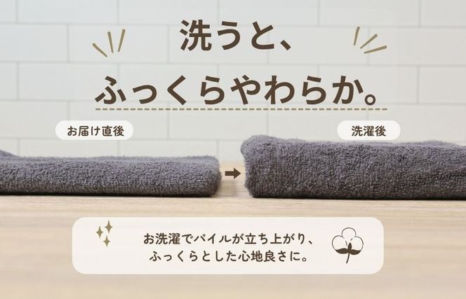 015B692 デイリーフェイスタオル 10枚セット (ライトグレー・ダークグレー）【国内製造 日本製 泉州タオル スーピマコットン 無地 吸水力 耐久性】