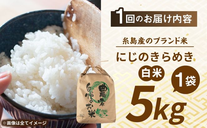 【先行受付】【全6回定期便】 にじのきらめき 白米 5kg 【2026年9月中旬以降順次発送】 糸島市産 糸島市 / 糸島の恵み コメ こめ ご飯[AGR016]