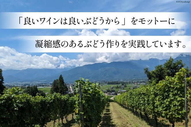 赤 ワイン フェリーチェ ロッソ 750ml 1本 [Poggio Verde（ポッジョ ヴェルデ） 長野県 池田町 48110666] 赤ワイン わいん 国産ぶどう使用 お酒 酒 アルコール