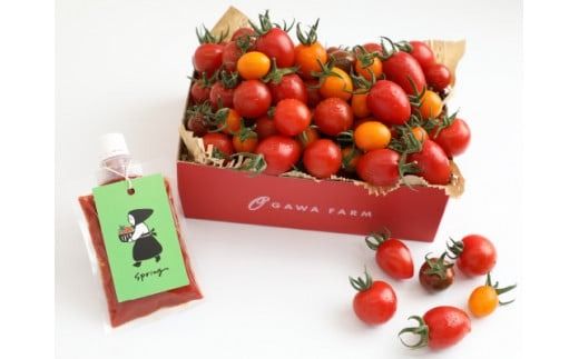 香TOMATO&まるごとトマト[OGAWA FARM]
