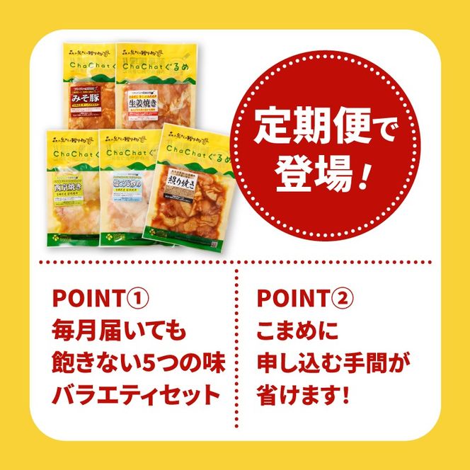 毎月届く！ChaChat厳選 グルメバラエティ3回定期便(5種類×3) K16_T011