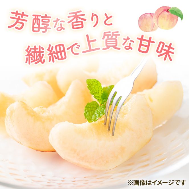 2026年 早期受付 岡山県産 白桃 大玉 (約2.2kg) 5～7玉 桃 もも 果物 フルーツ