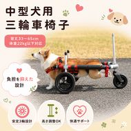 中型犬用三輪車椅子（背丈33～65cm　体重22キロ以下） 【!寄附前に事業者へ相談必要!】 雑貨 日用品 