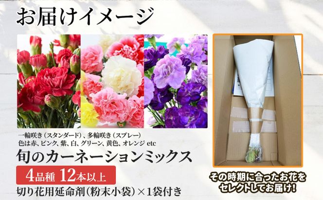 ＜2026年8月～10月まで3ヵ月連続お届け＞ 北海道 カーネーション ミックス 4品種 12本以上 切り花 切花 花束 ブーケ 季節 旬 生花 フラワー アレンジメント 記念日 産地直送 つきがたふるさと花の会