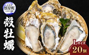 厚岸産 殻牡蠣 Lサイズ 20個 セットカキ 牡蠣 魚介類 送料無料 新鮮 濃厚 大粒 マルえもん メルマガ掲載商品2 