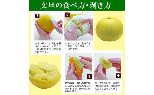 【先行予約】水晶文旦 特選ご贈答用 特大 約1.5kg（2個入）〈2026年10月上旬～11月上旬頃発送〉  /  ぶんたん ブンタン 水晶文旦 果物 柑橘 フルーツ 特大サイズ お取り寄せ 特産品 美味しい 高知県産【白木果樹園】 [BQAI020]