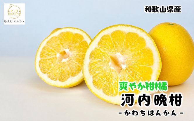 【和製グレープフルーツ】有田育ちの河内晩柑(ご家庭用)　1kg+200g(補償分)【2027年4月上旬～5月下旬頃に順次発送予定】【ard223B】
