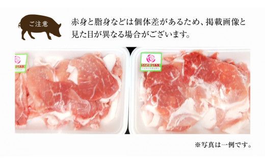 ローズポーク 小間肉 250g × 8P 合計 2kg ( 茨城県共通返礼品 ) ローズ ポーク ブランド豚 豚こま 豚肉 冷凍 肉 お弁当 小間切れ [BM085us] 小分け