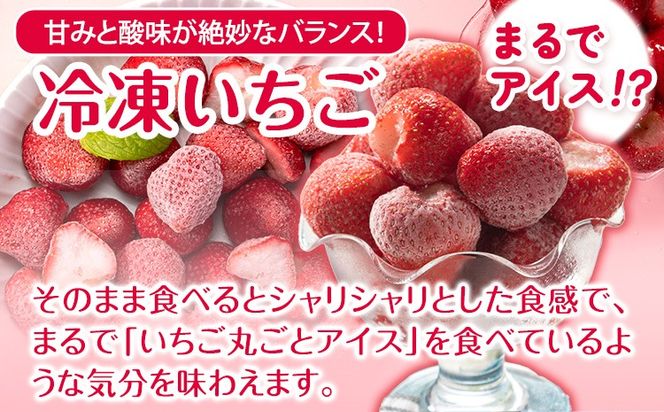 冷凍いちご 約1kg みやざき農園《30日以内に出荷予定(土日祝除く)》熊本県 氷川町 いちご イチゴ ひのしずく 国産 冷凍いちご フルーツ ストロベリー 冷凍 お菓子作り 送料無料---sh_fmiyayufarm_30d_25_10000_1kg---