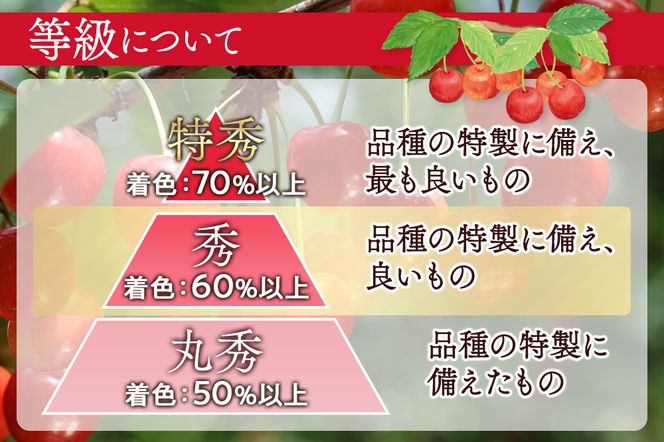 FYN6-253 ≪2026年先行予約≫山形県産 さくらんぼ 品種おまかせ(佐藤錦・紅秀峰など) 800g(400g×2) 秀/L以上 バラパック詰め 2026年6月中旬頃より発送 果物 くだもの フルーツ 夏果実 サクランボ チェリー 桜桃 高級 化粧箱 ギフト箱 贈り物 贈答 ギフト プレゼント 自宅 家庭 産地直送 山形県 西川町 月山