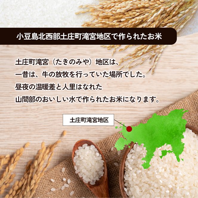 【 小豆島 】小豆島 滝宮で獲れたふっくらつやつや 小豆島産 コシヒカリ 2kg×3袋 こしひかり お米 米 白米 精米 もっちり 甘み 6kg 香川 香川県 土庄 土庄町