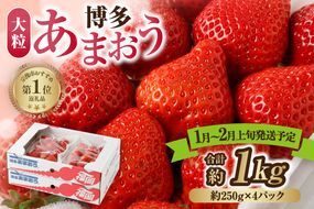 【先行予約】【アフター保証】大粒セレクト！大人気のあまおう 250g×4パック【1月～2月上旬発送】【JAほたるの里】 _HA0274