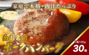 南国宮崎ポークハンバーグ100g×30個 K16_0023_3