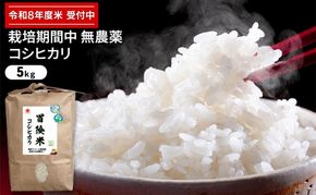 令和8年産 有機JAS認証コシヒカリ 5kg お米 精米 白米 玄米 ブランド米 銘柄米 ご飯 おにぎり お弁当 和食 産地直送 粘り 香り 旨み つや