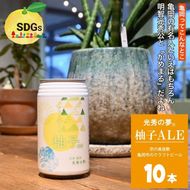 クラフトビール「光秀の夢 柚子ALE」350ml 10本セット（化粧箱入り）京都・亀岡産 柚子 使用《特別醸造 ビール 醸造したて 地産地消 フードロス削減》