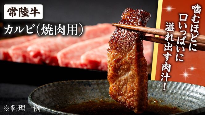 《日付指定可能》【お中元熨斗付】『 常陸牛 』 焼肉 用 カルビ 400g (茨城県共通返礼品) 茨城県産 牛肉 肉 お肉 [BX105-NT]