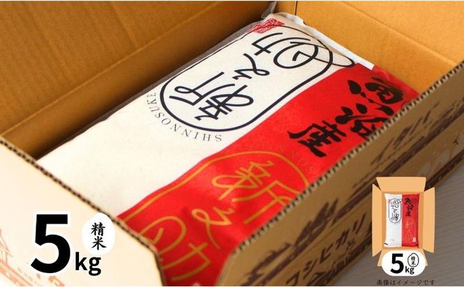 【定期便全3回毎月発送】魚沼産新之助(精米)　5kg 米 定期 新潟 十日町市