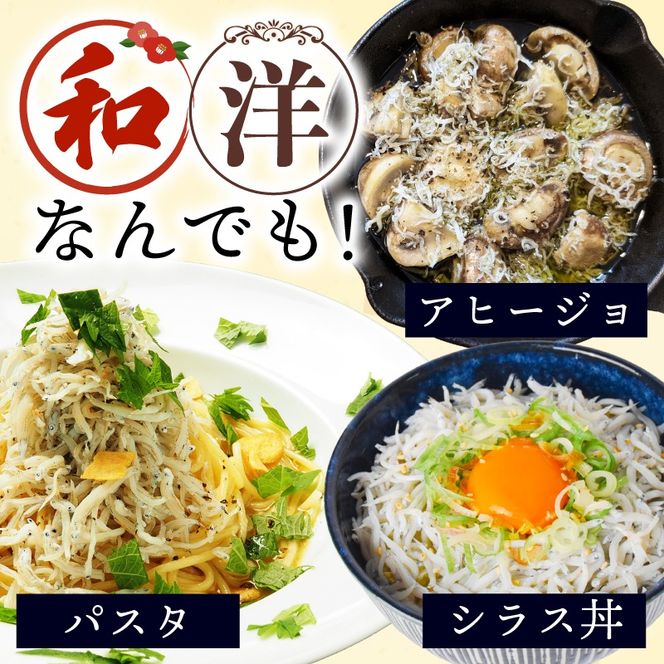 鮮度抜群 釜揚げしらす 240g ~ 480g 小分け しらす 冷凍 大容量 惣菜 便利 弁当 晩ごはん 白州 白子魚介類 魚介類 海鮮 減塩 塩分控えめ わけあり 小魚 魚 鮮魚 個包装 簡単調理 グルメ 人気 海の幸 高知県産 ふりかけ ちりめん しらすご飯 国産 じゃこ しらす丼 人気 選べる 訳あり 特選 子供用 容量 安芸市 高知県