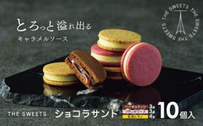 【期間限定】ザ・スウィーツ ショコラサンド(10個) ｜シャディ スイーツブランド 人気セット スイーツ［ シャディ お取り寄せ ショコラサンド 人気 おすすめ ナッツ ラズベリー 紅茶 レモン ギフト プレゼント 贈答 お菓子 スイーツ 通販 京都 ふるさと納税 ］ 261009_SHDYAS005