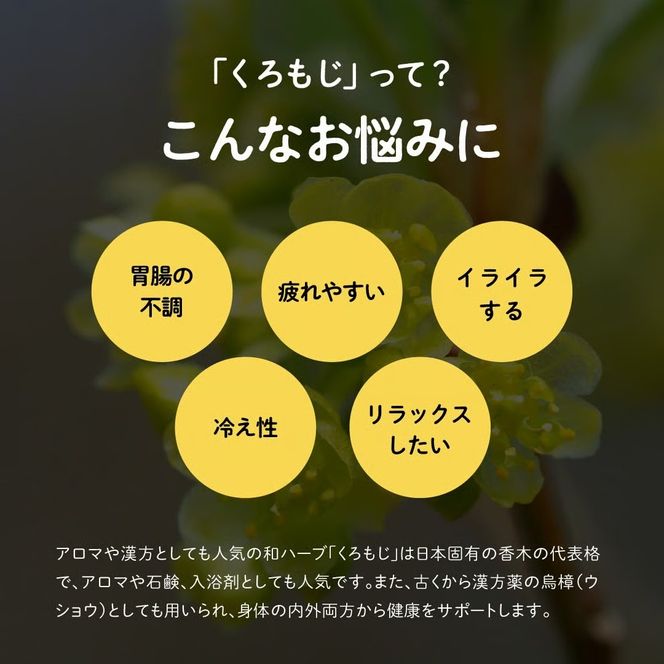 オニまる茶　農薬不使用・無添加 ティ―パックくろもじ緑茶　5袋セット【machi-04】