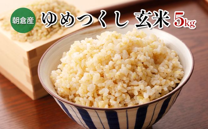 米 5kg 玄米 ゆめつくし お米 