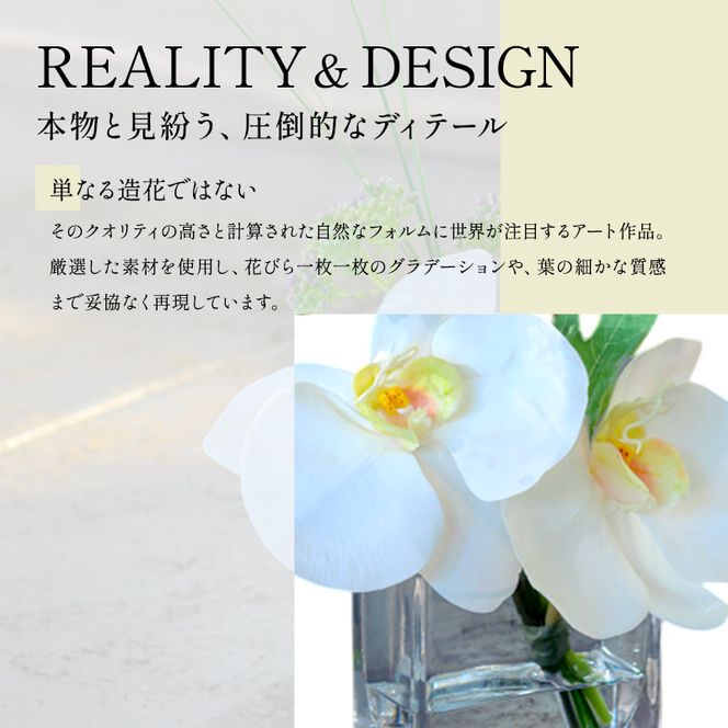 エミリオロバ　仏花セットC　ファレノプシスXS 2個セット