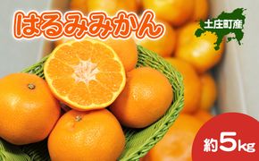 【 小豆島 】 はるみみかん 約5kg 柑橘 みかん ミカン 蜜柑 はるみ 果物 フルーツ ジューシー くだもの 国産 香川 香川県 土庄 土庄町
